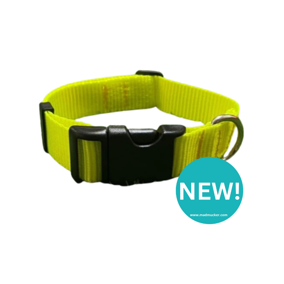 Mucky Pups Fluorescent Dog Collars