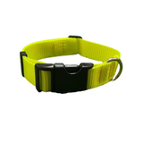 Mucky Pups Fluorescent Dog Collars